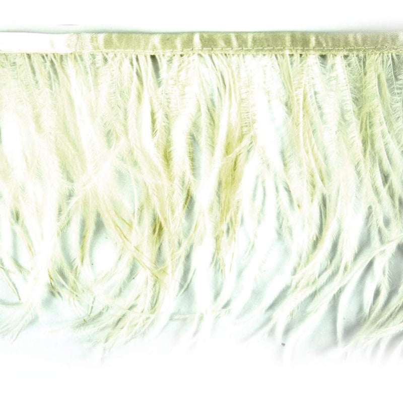 Belagio Enterprises - 6-inch Ostrich Feather Trim (11 Yard Bolt) - B-1139-24 Ivory