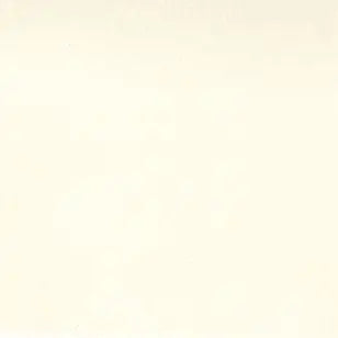 Natural Muslin Cotton 200 Count Wideback Fabric Per Yard 110"
