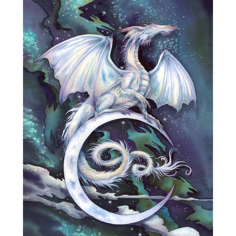 Midnite Mystic Dragon Panel -36"