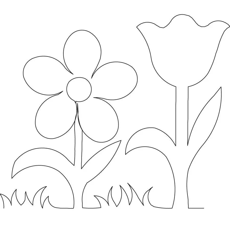Daisy Flower 1 Border