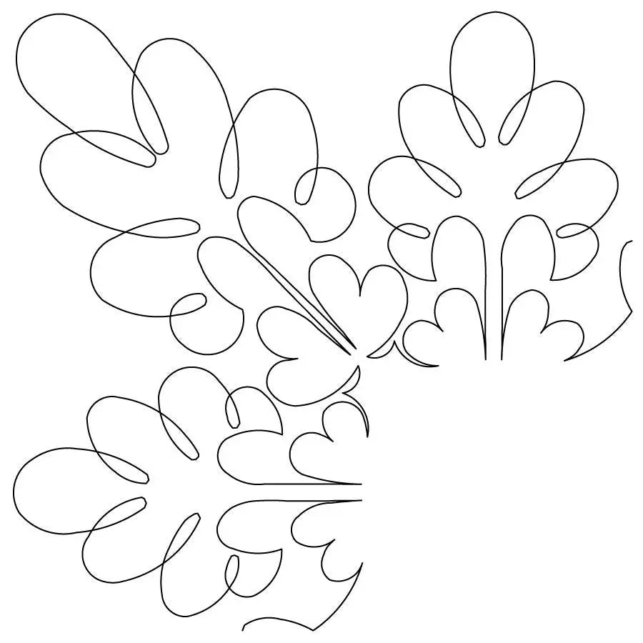 Coxcomb Corner
