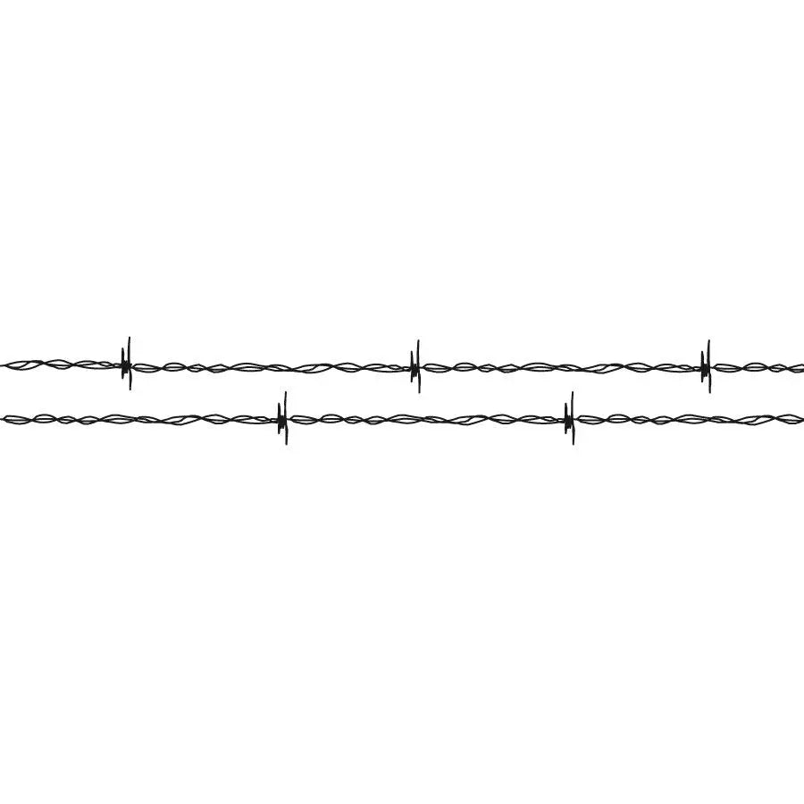 Barbed Wire Border