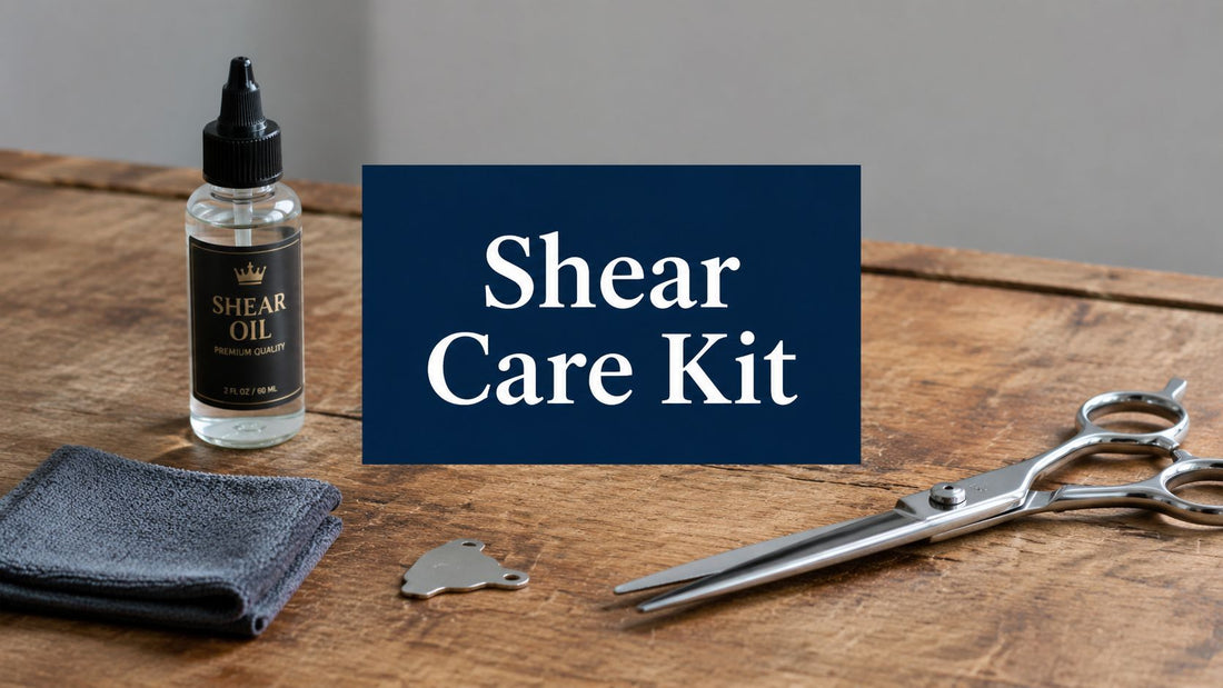 Your 2026 Maintenance Kit for Professional Shears Guide
