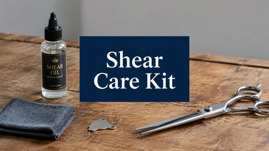 Your 2026 Maintenance Kit for Professional Shears Guide