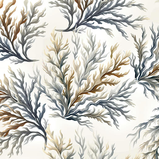 Coral Neutral Coastal Cotton Wideback Fabric per yard