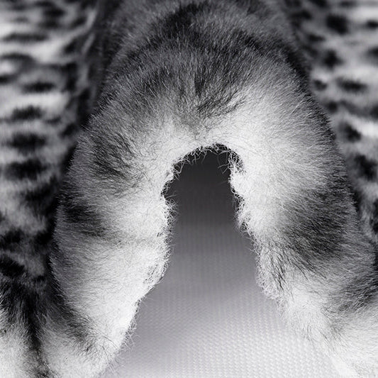Snow/Black Luxe Cuddle Savanna 58"/60" Fabric per yard