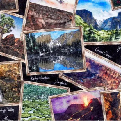 Multi Black National Parks Digital Cuddle Black Fabric - ( 3/4 Yard Pack )