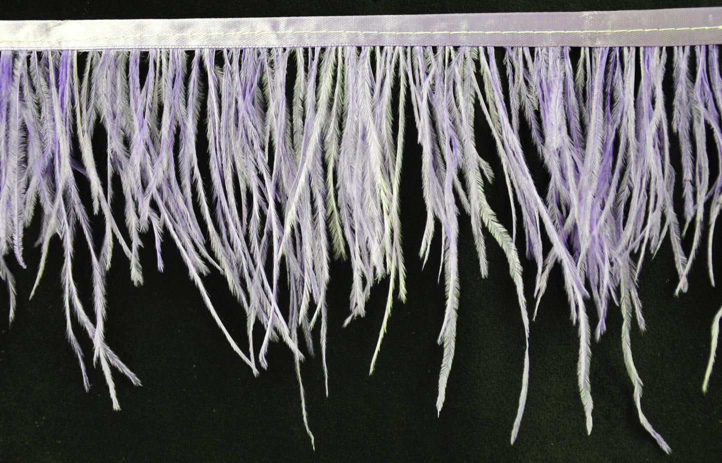 Ostrich Feather Trim- 6" Length B-1139 x 10 Yard Roll