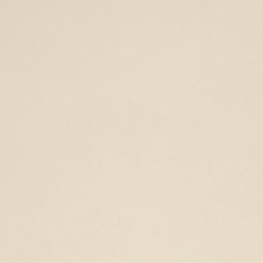 Quilting Cuddle Solid Beige Fabric Per Yard
