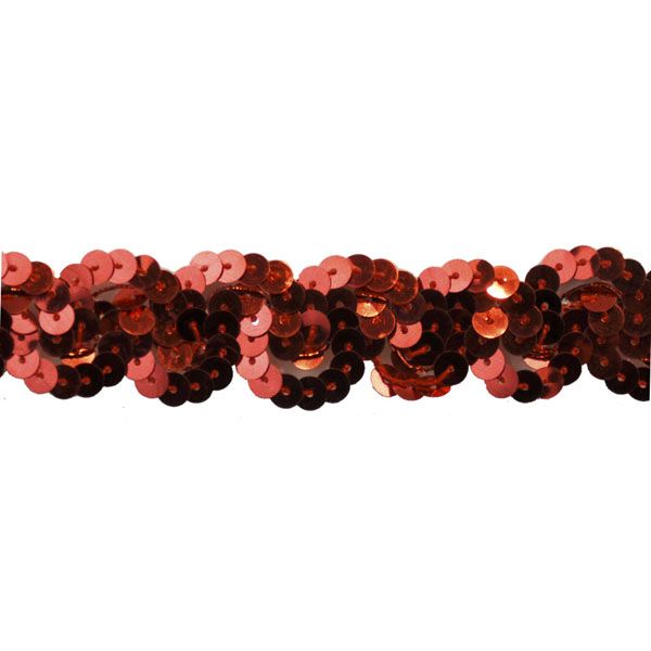 Sequin Trim 1-Inch Wide Polyester Non Stretch Sequin Trim Rolls for Arts and Crafts, 10-Yard