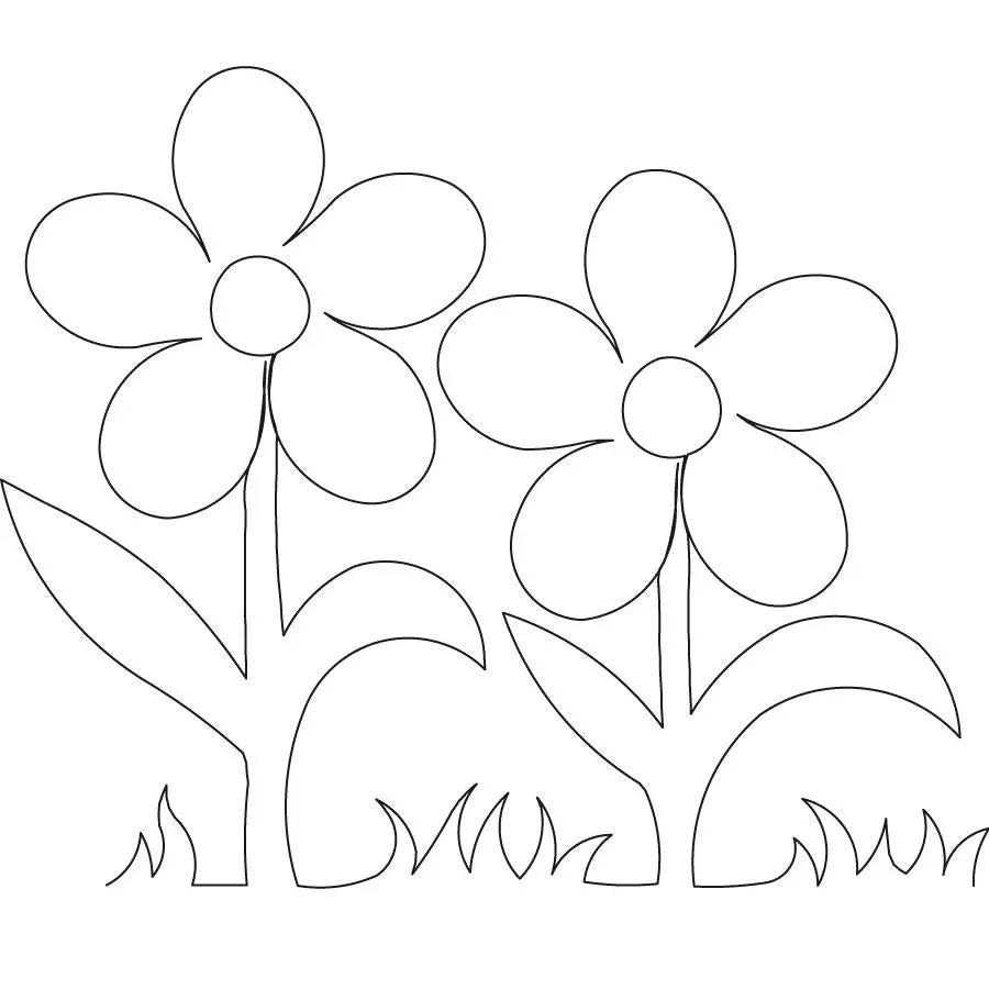Daisy 1 Border