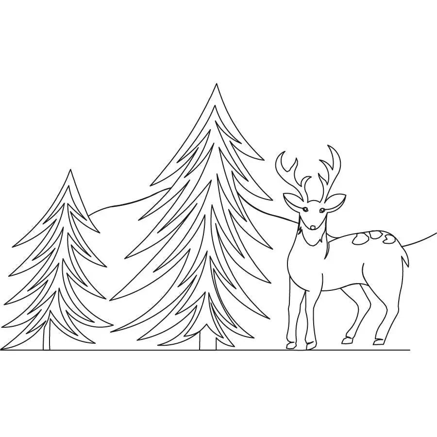 Deer Border