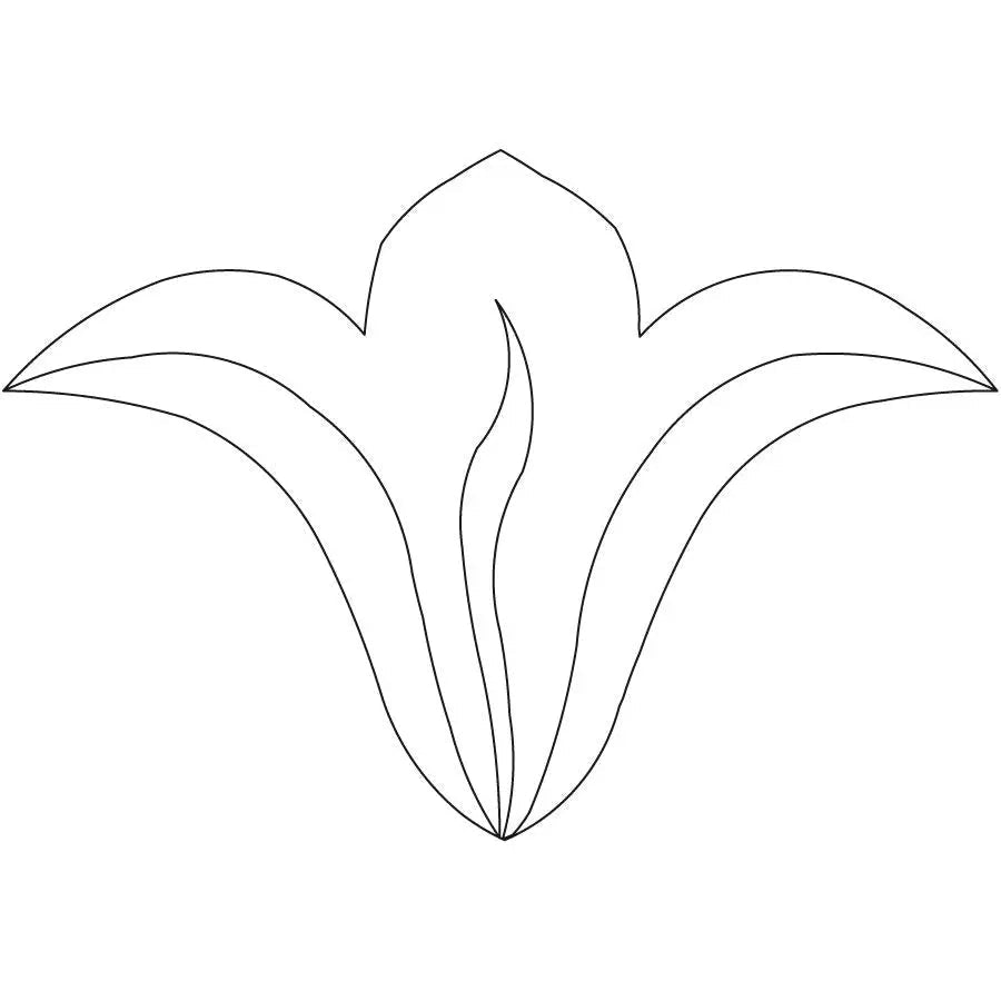 Lovely Lily Border