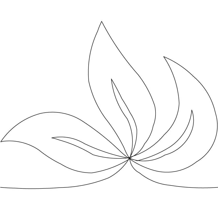Posy 2 Border