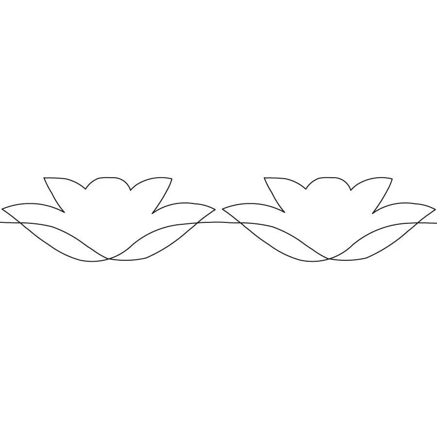 Water Lily Border