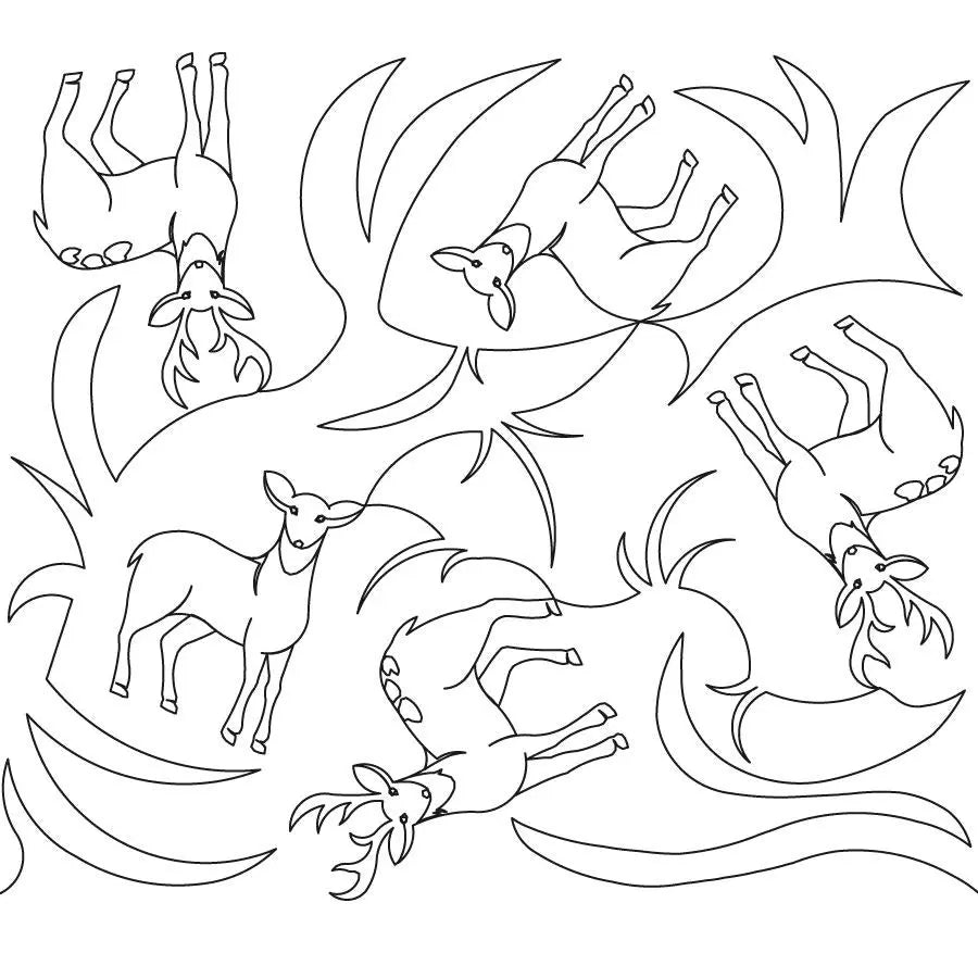 Deer Digital E2E