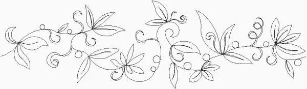 Fancy Delicate Vine Border