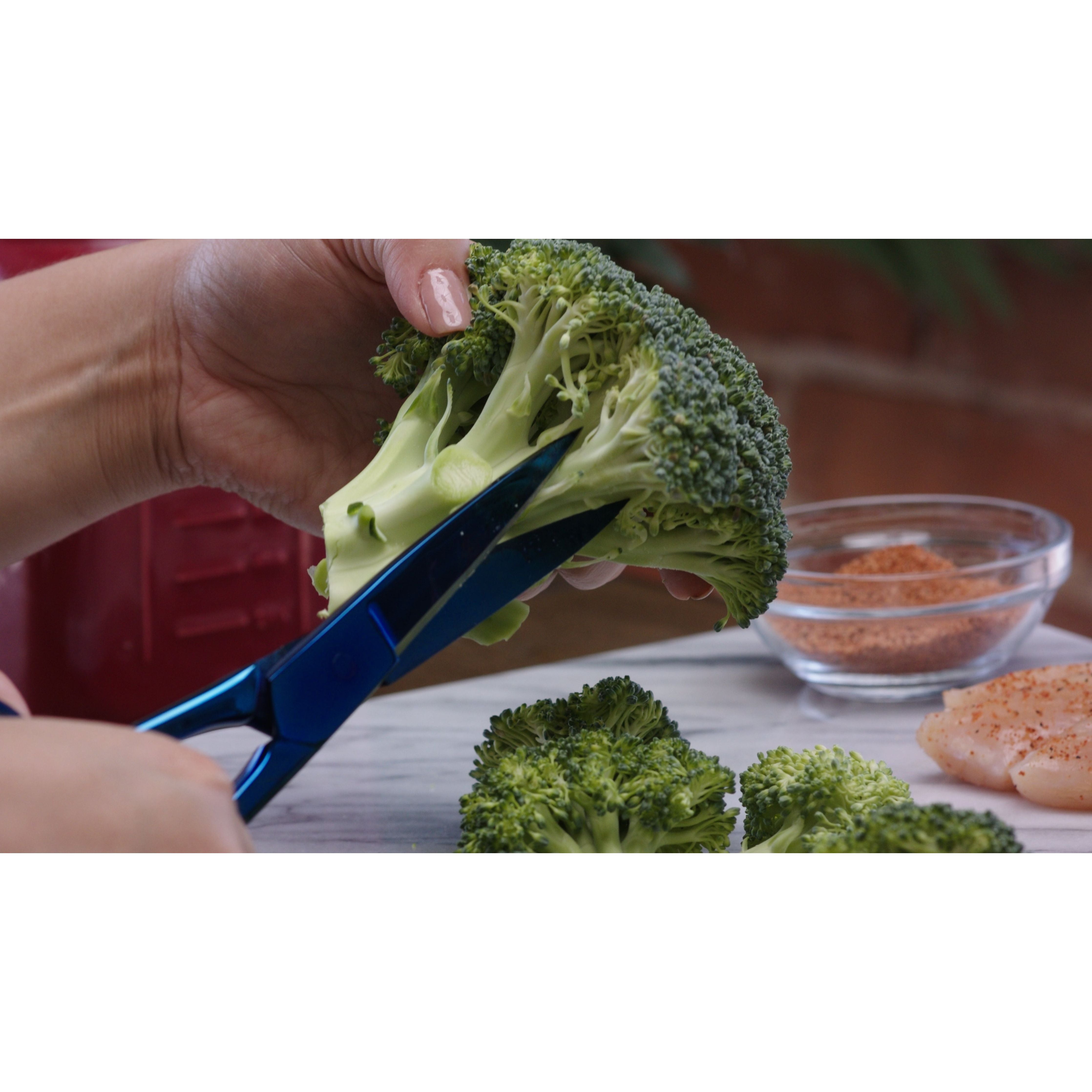 Shariki Kitchen Shear
