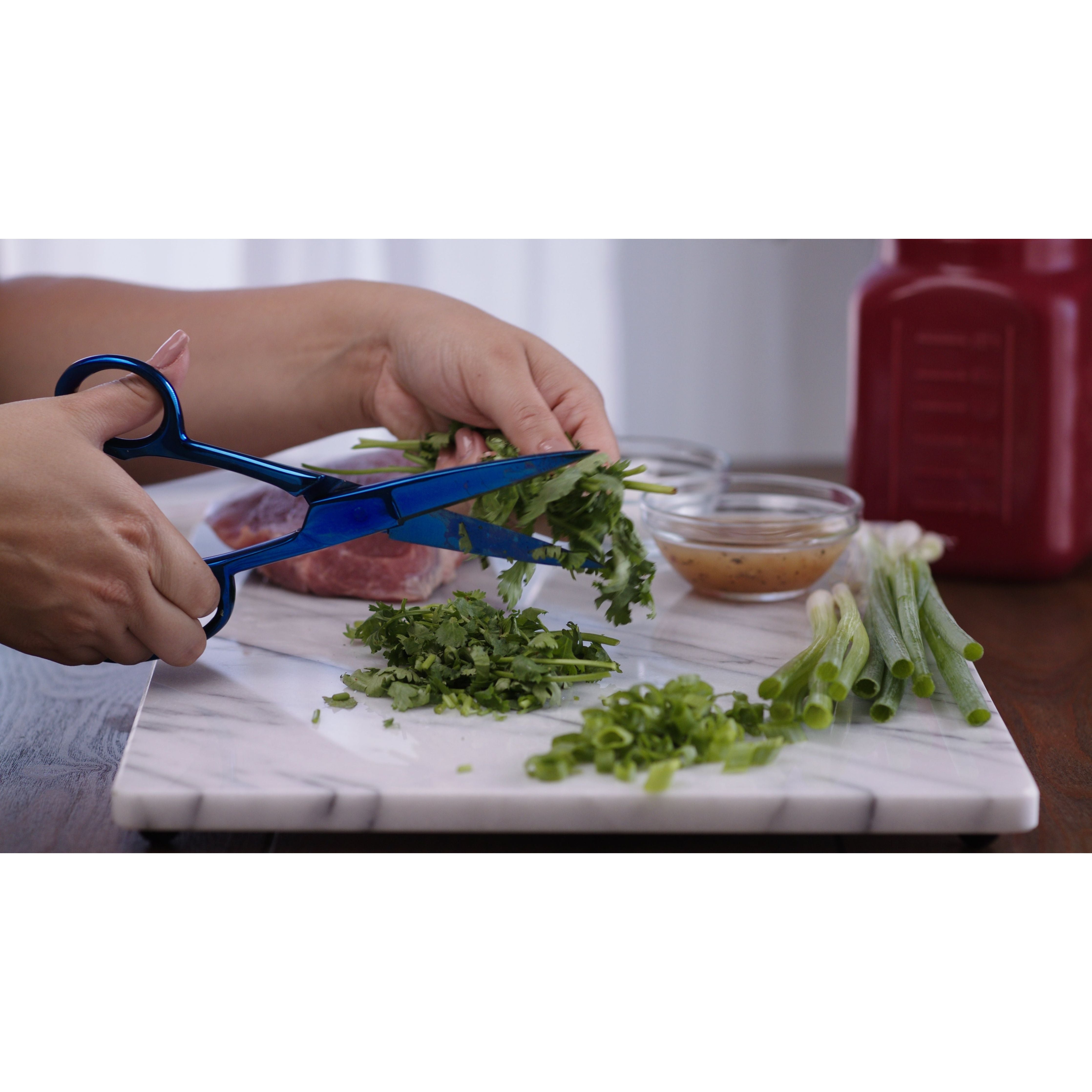 Shariki Kitchen Shear